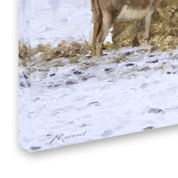 Snowy Field Donkeys Gallery-Wrapped Canvas Art