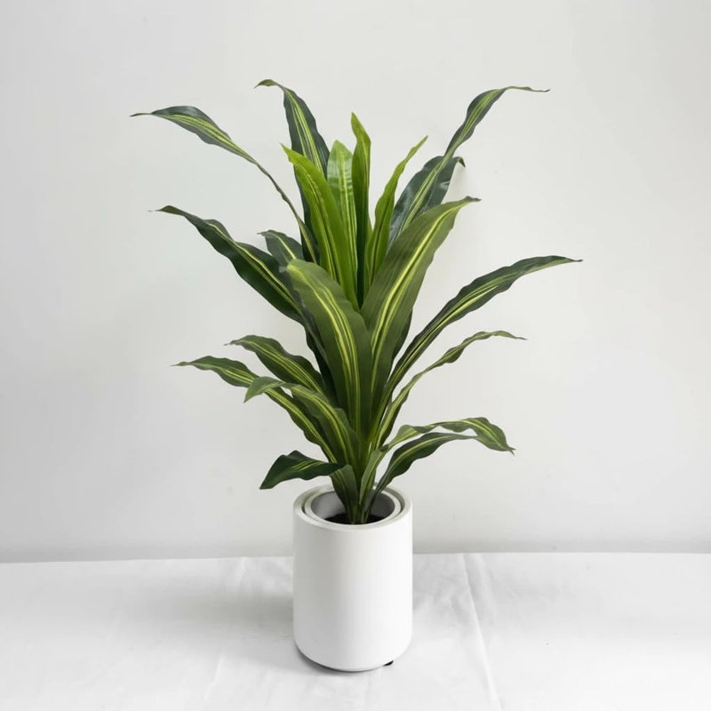 2PCS 3FT Dracaena Fragrans artificiel (arbre de fer brésilien) avec pot blanc rétro et cailloux jaunes - plante artificielle nécessitant peu d'entretien pour la décoration intérieure et extérieure de bureau à domicile