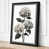 Black Border selected