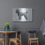 "Caniche" par Harro Maass-489508394