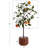 Cora 33.07'' Faux Orange Tree in Freestanding