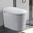 Tankless Smart Toilet With Bidet Built In, One-Piece, Auto Flush, Auto Open/Close,Heated Seat, Bubble Wash,Warm Water And Dry, Adjustable Temp,Remote Control Side Know