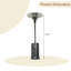 Lassus 48,000 BTU Propane Patio Heater