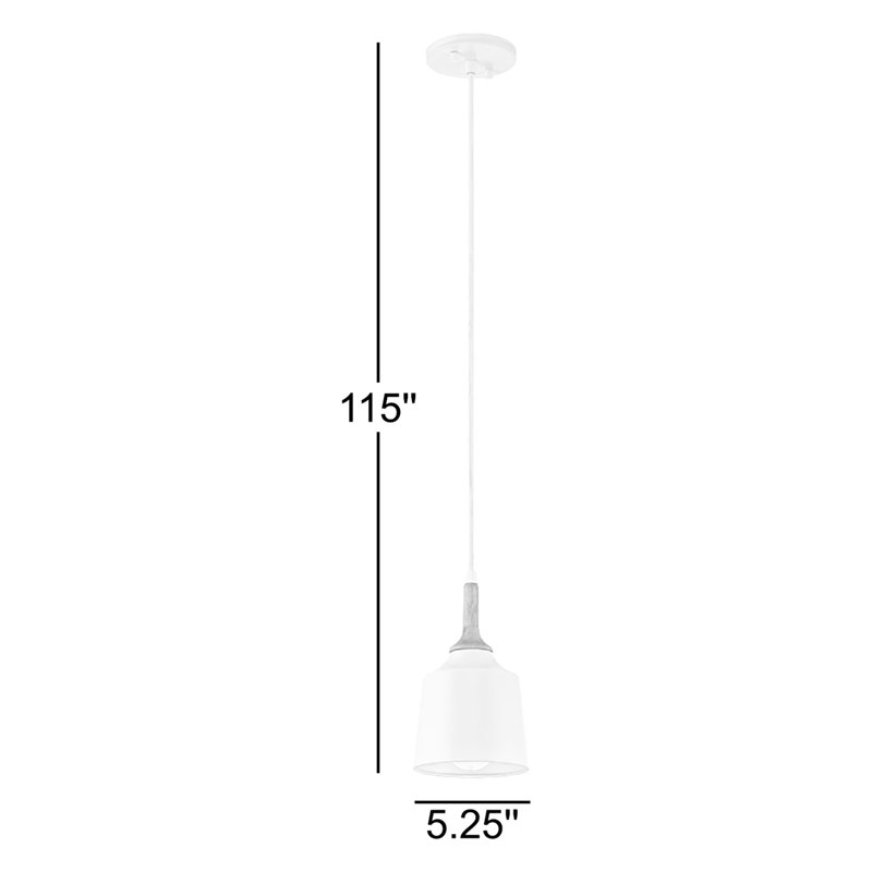 Luminaire suspendu en forme de cloche à 1 lumière avec accents en bois Edmar