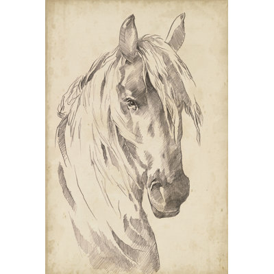 Croquis de portrait de cheval I