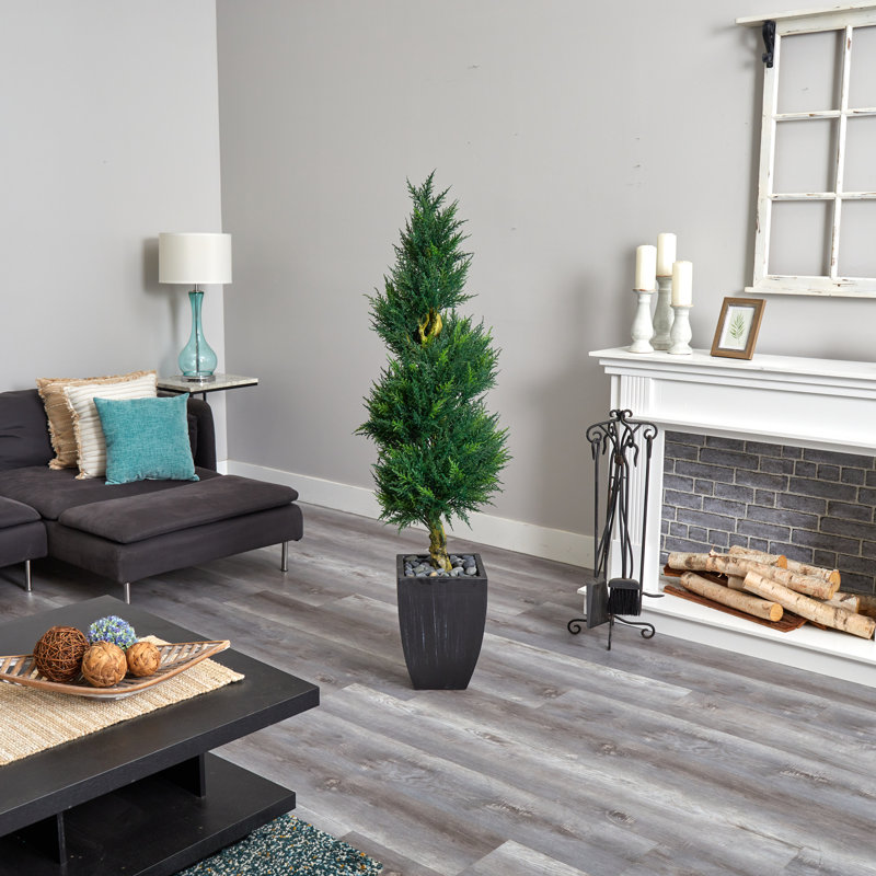 5.5ft. Cypress Spiral Artificial Tree in Black Wash Planter UV Resistant (Indoor/Outdoor)