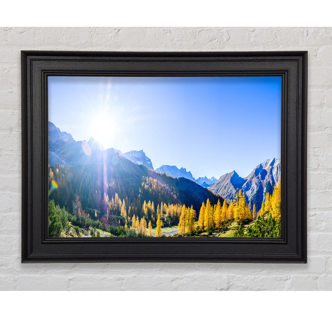 Mountain View of Tall Trees Sunrise - Einzelne Bild Frame Kunstdrucke