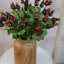 Montana Rose Hip Faux Floral-1231080852-1231080853