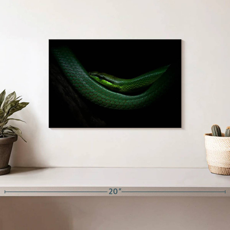 Brampt Mamba, 8" H x 12" W