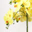 Plastic, Silk Artificial Arrangement in Planter-88685043-88685042