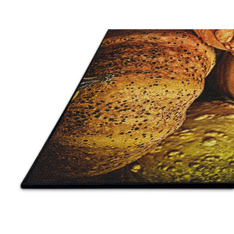 Tapis brun en coton citrouilles, Rectangle 4 pi x 6 pi