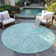 Cresley Paisley Indoor / Outdoor Rug