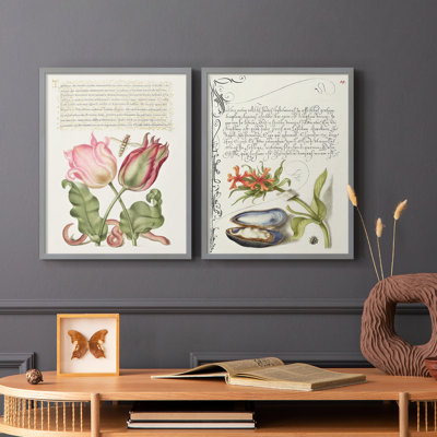 Reproduction encadrée Hoefnagel de spéculations tropicales X-Premium - prêt à être accroché - aucun clou requis - aucun clou requis