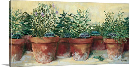 «Pots Herbs» par Carol Rowan - impression, 30 po H x 60 po l x 1,5 P, Toile