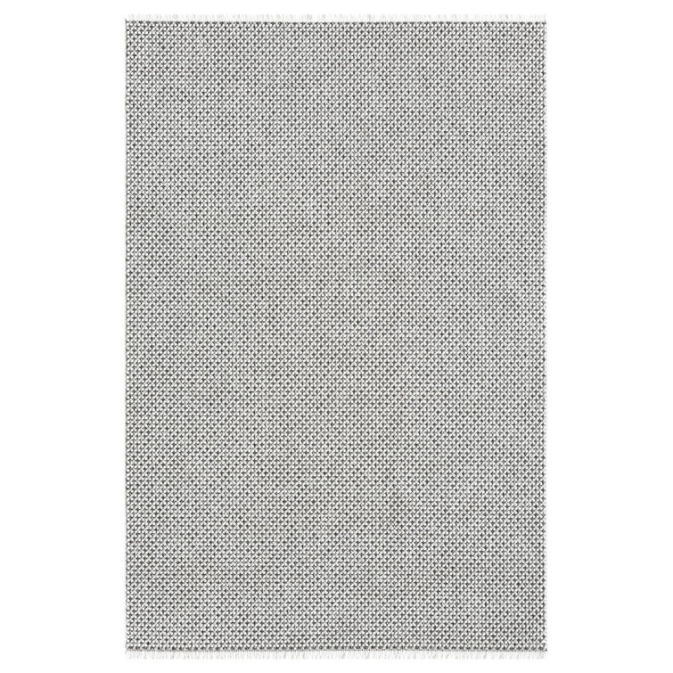 Textured Fringed Area Rug