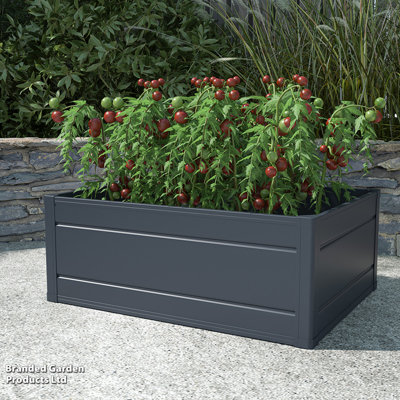 Raised Garden Bed