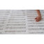 Tapis intérieur moderne, beige crème.-1160040602