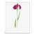 White Framed Paper