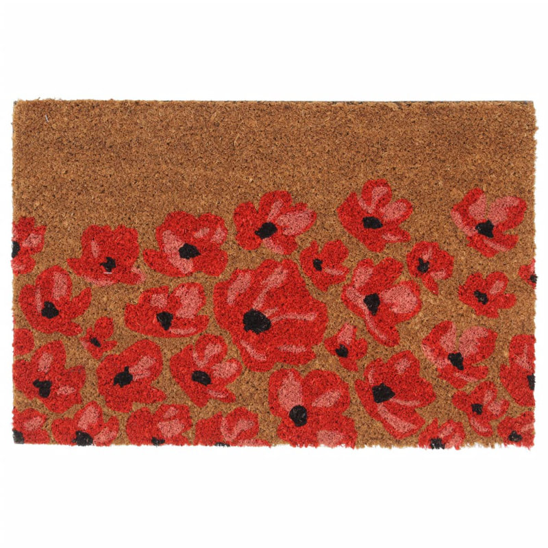 Andjoua Non-Slip Indoor / Outdoor Doormat, 40cm W x 60cm L