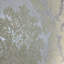 Papier peint damas victorien Shadasha