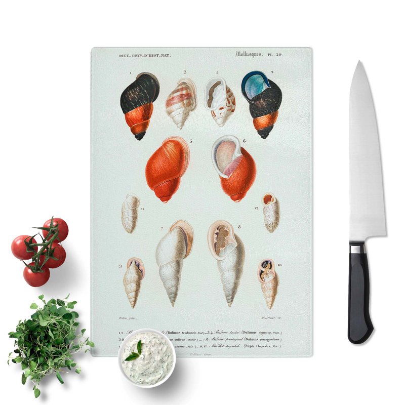 Tempered Glass Mollusc Shell Illustrations PL. 20 by Charles D' Orbigny Chopping Board, 28.5 cm x 39 cm