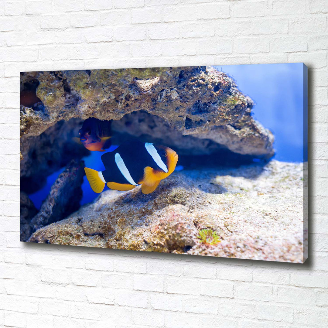 Leinwanddruck - Wandkunst - Drucke auf Leinwand - 100X70 Bild Bildthema: Tropische Fische