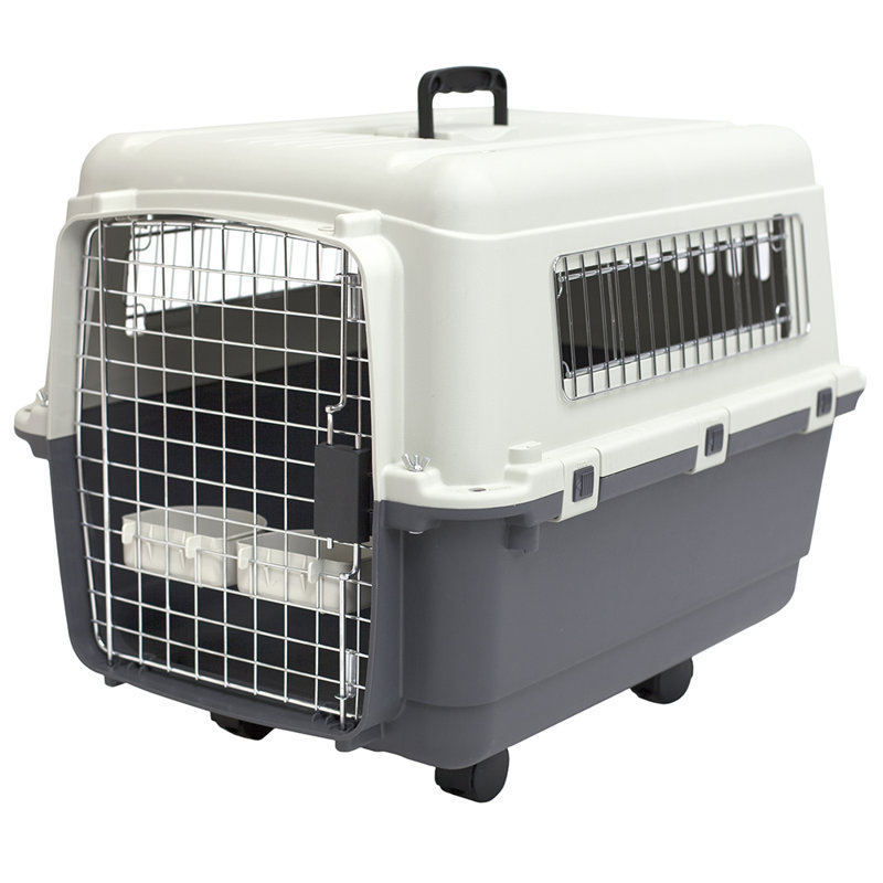 Humphrey Plastic Collapsible Pet Crate with 1 Door, Medium (20.75" H x 20" W x 26.5" D)