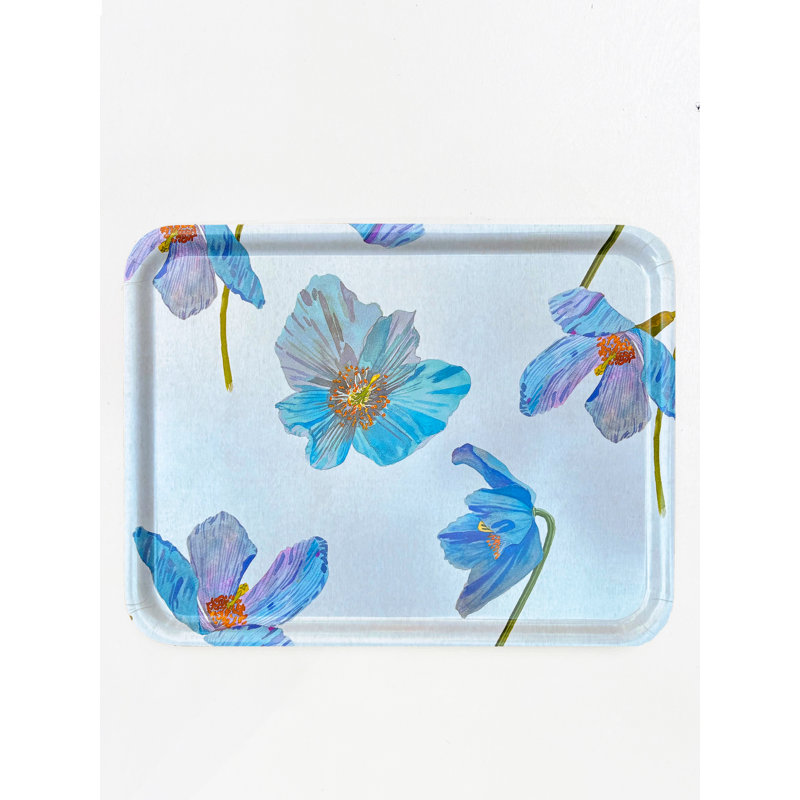 Tray