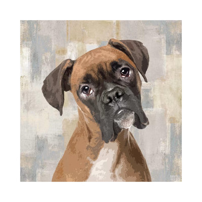 Boxer by Keri Rodgers - Wrapped Canvas Print