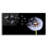 'Dandelion Flying,' Acrylic Glass Wall Art-562225494