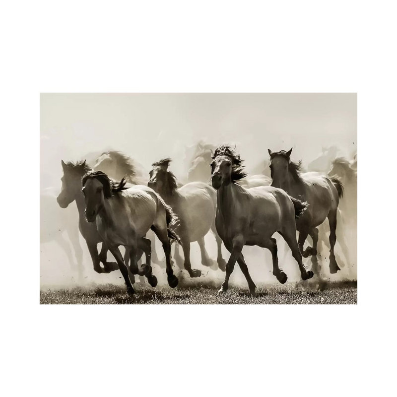 Cheval - reproduction d'art, H 12 po x l 18 po x 1,5 po, Toile tendue
