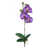 Lavender is out of stock