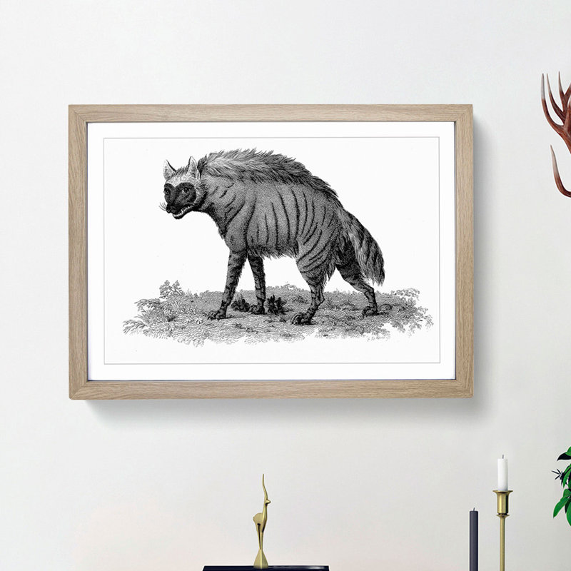 Striped Hyena in Black & White by George Shaw - Picture Frame Art Print on MDF, 48cm H x 65cm W x 2cm D, Oak Framed
