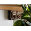STARNBERG Floating Shelf