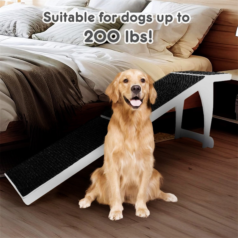 Rampe pour chien pour lit haut