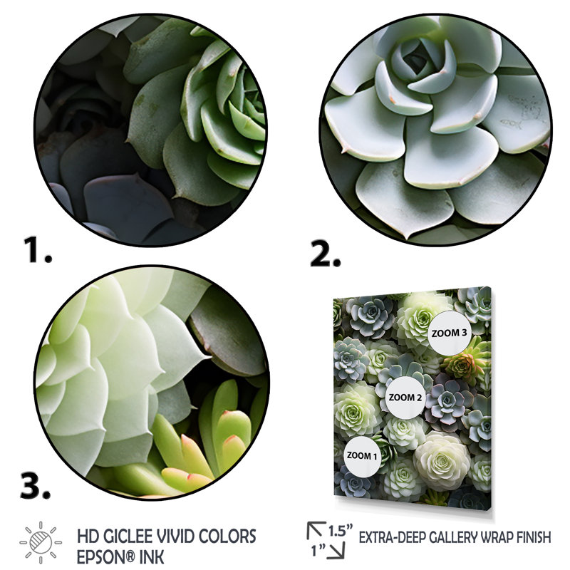 Potterslea " Green Succulents Flowers Serene II ", 40" H x 30" W x 1.5" D, Black Picture Frame