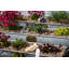 Leavenworth Metal Planter