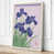 Cream Border