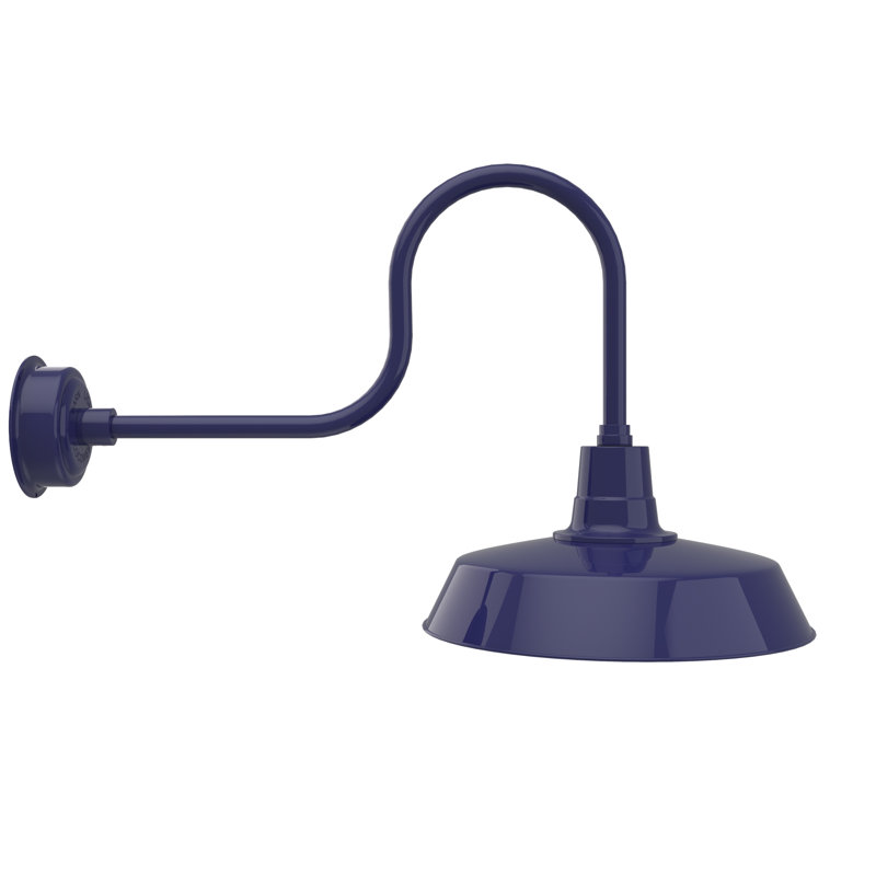 Luminaire de grange d’extérieur à del Haleigh, Bleu de cobalt, H 23,75 po x l 18 po x P 40 po