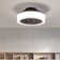 Meenah 15'' Ceiling Fan with LED Lights
