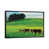 Black Framed Canvas