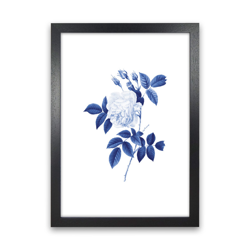 Blue Botanic II - Print, Black Framed, 63cm H x 46cm W x 3cm D
