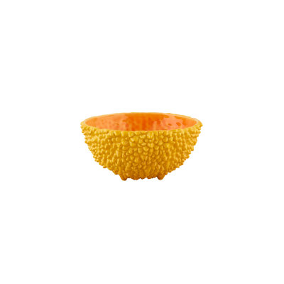 Amazōnia Earthenware Salad Bowl