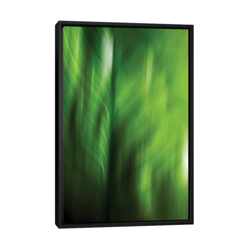«Organic V» par PI Studio - Impression sur toile tendue sur châssis, H 26 po x l 18 po x P 1,5 po, Toile avec cadre noir