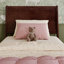 Lit gigogne en bois massif Avdesh-17206720-17206589