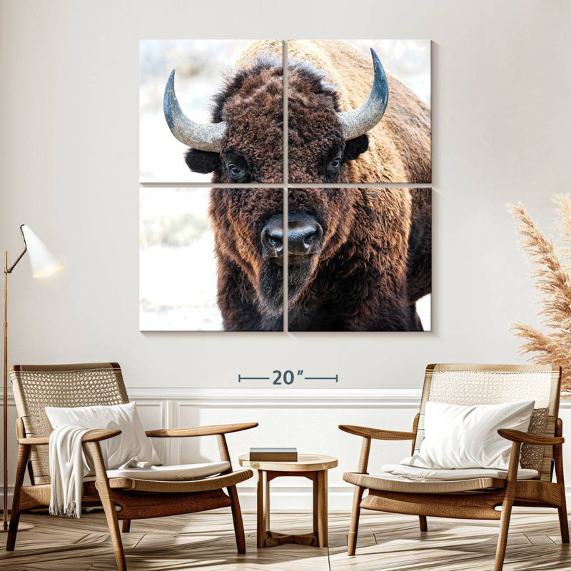 Bison d'Amérique - un trésor national, H 57 po x l 57 po