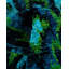 Contemporary One-of-a-Kind Rectangle 3'10" X 6'2" Hand Knotted Area Rug