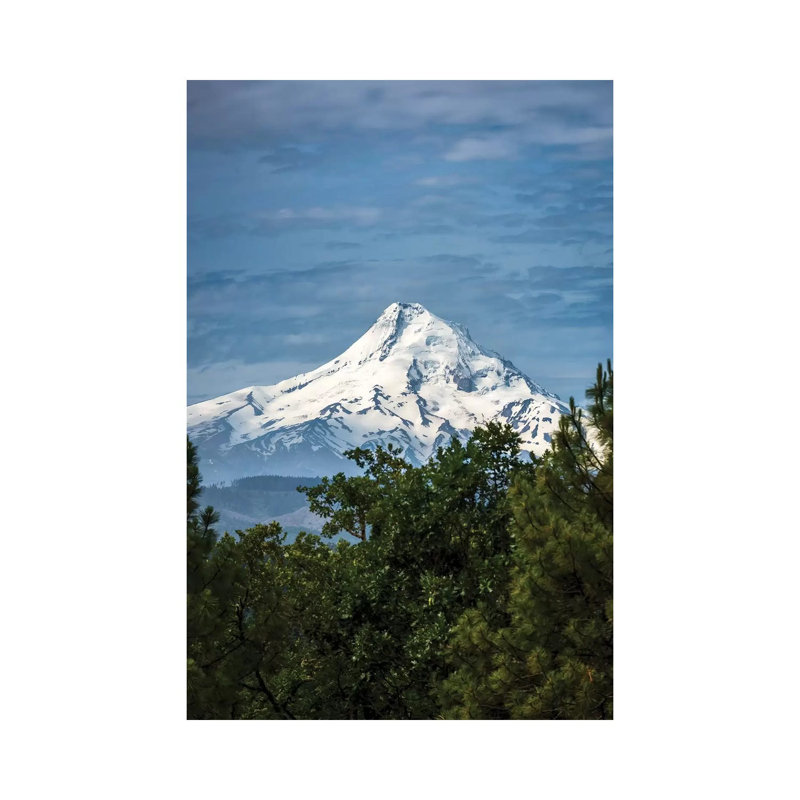 Snowcapped Mt. Jefferson Framed By Trees In The Foreground by Sheila Haddad - Wrapped Canvas Print, 30.48 cm H x 45.72 cm W