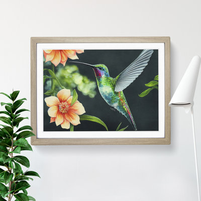 Hummingbird Vol.3 - Single Picture Frame Print