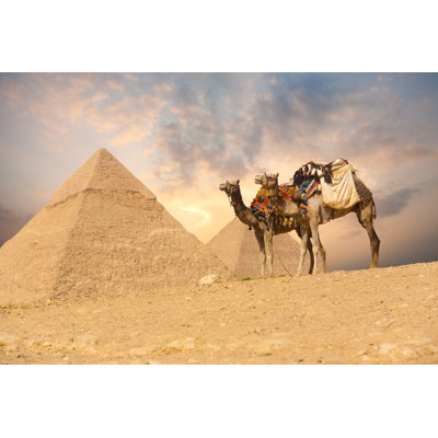Double Camel by Pius99 - Wrapped Canvas Print